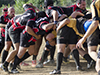 thumb_DSC_6366.jpg